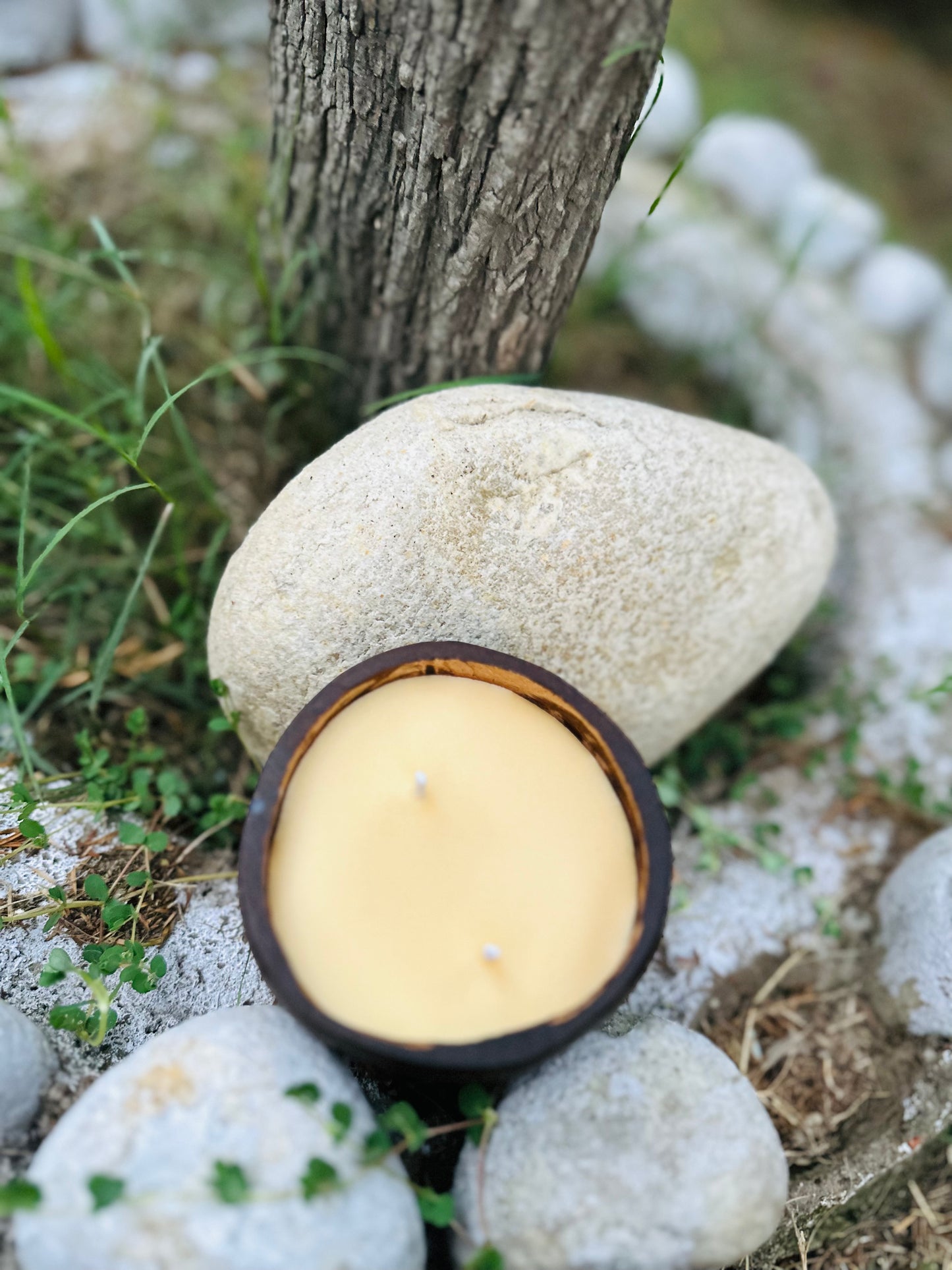 Lemongrass Soy Wax Coconut Shell Sustainable Candle